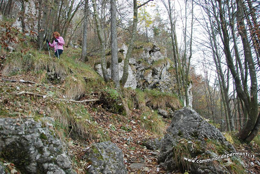 09 12965 Salita che porta al Passo Sappli.JPG